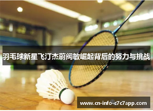 羽毛球新星飞汀杰蔚阀敏崛起背后的努力与挑战 羽毛球新星飞汀杰蔚阀敏崛起背后的努力与挑战