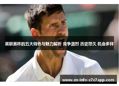 英联赛杯的五大特色与魅力解析 竞争激烈 历史悠久 机会多样