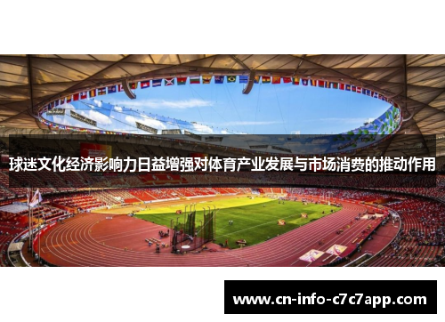 球迷文化经济影响力日益增强对体育产业发展与市场消费的推动作用