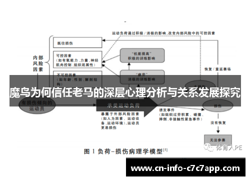 魔鸟为何信任老马的深层心理分析与关系发展探究